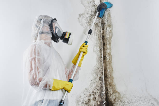 Best Emergency Mold Removal  in Gordon, NE